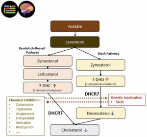 Commonly used prescription medications have a post-lanosterol biosynthesis inhibiting effect.