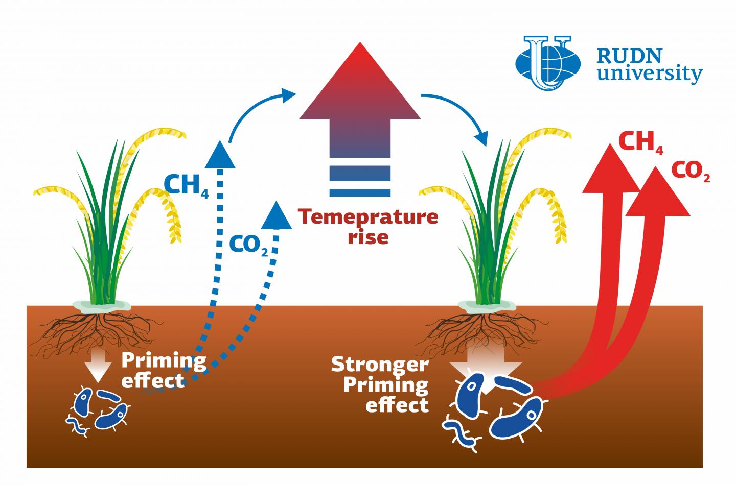 Rudn University Scientist Show Eurekalert Science News Releases