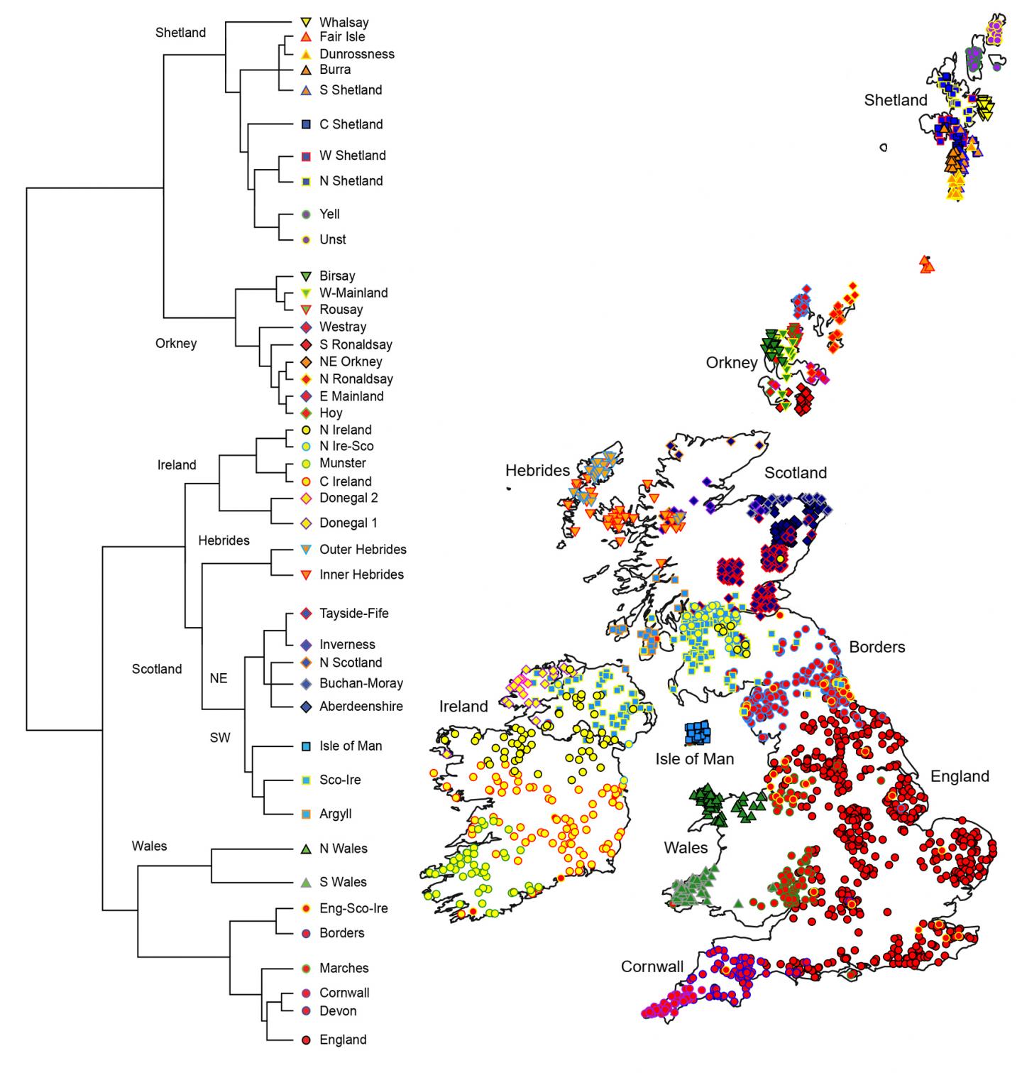 Genetic Map of British Isles -- with Key