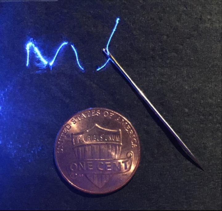 Super Supple Wires Can Monitor and Control Neuronal Signals from Spinal Cords (1 of 5)