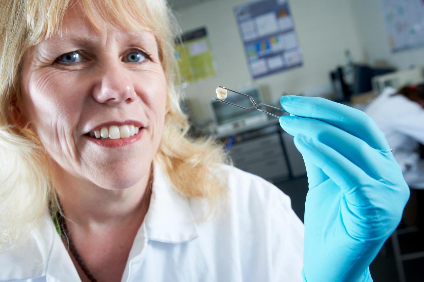 Julia Beaumont, University of Bradford