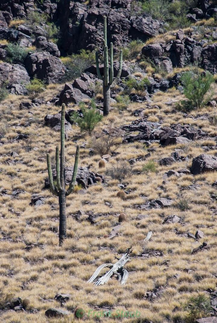 IPSM Volume 12 issue 4