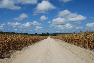 Large-scale agriculture in the Brazilian Amazon