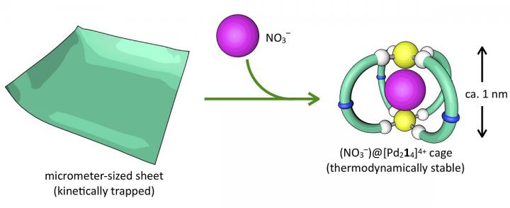 Converting the Sheet into a Spherical Cage