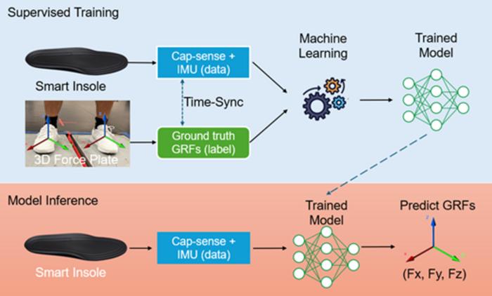 HOW THE SMART INSOLE ESTIMATE 3D GRFs BY USING AI Model