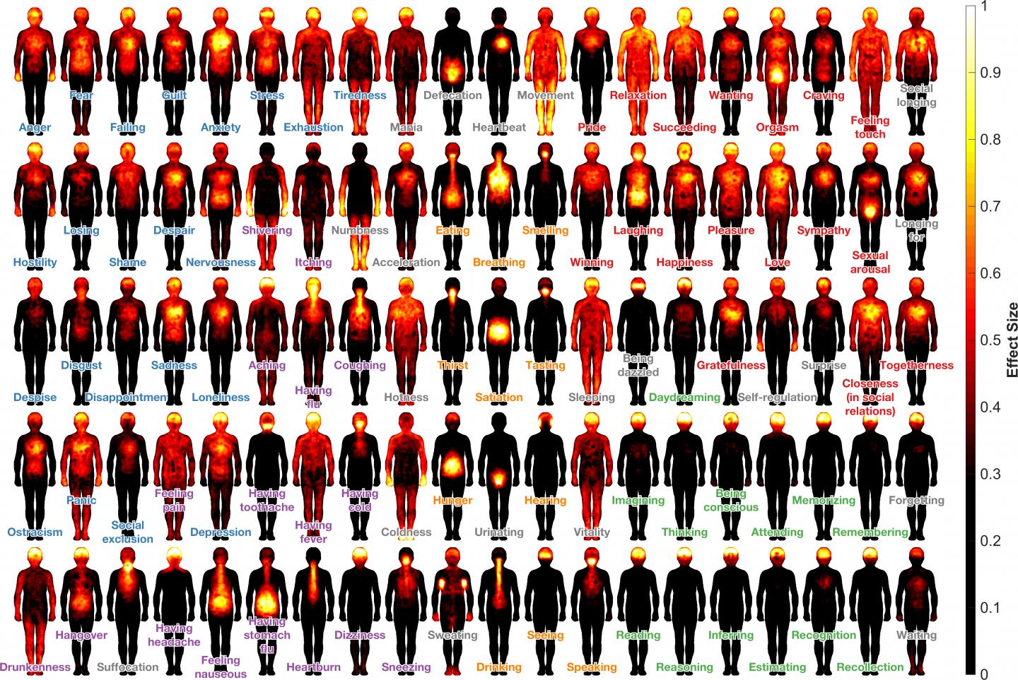 Bodily Maps of Feelings