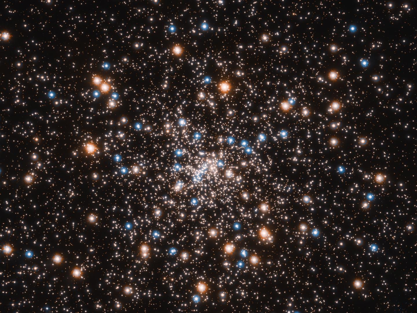 Hubble Uncovers a Concentration of Small Black Holes