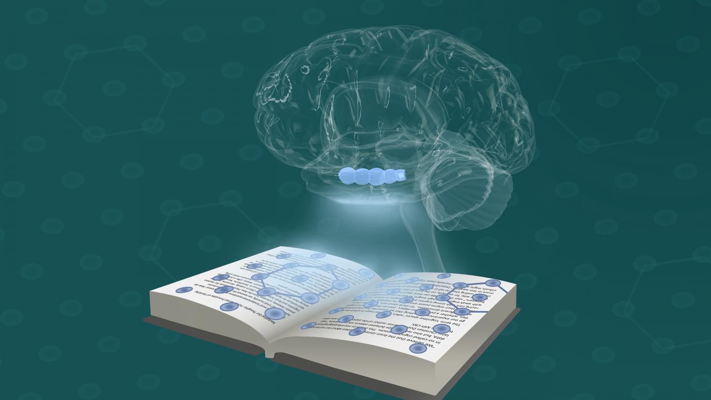 Navigating Our Thoughts: Fundamental Principles of Thinking