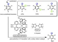Para-selective Borylation of Benzene with a Bulky Iridium Catalyst