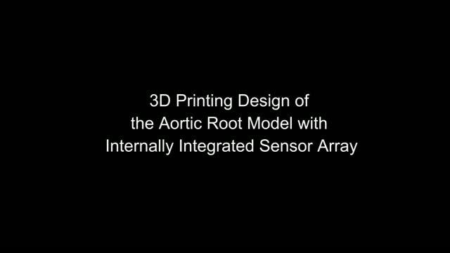 3D Printed Aortic Root Model