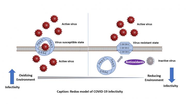 What makes certain groups more vulnerable to COVID-19?