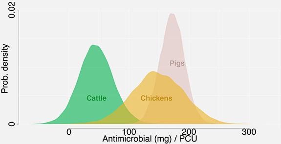 Antibiotic Consumption