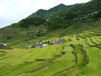 LEGATO Rice Terraces