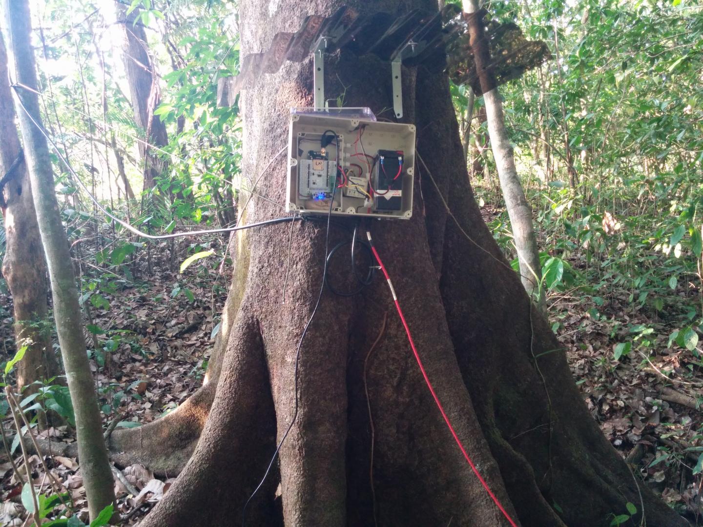 Arduino on Tree