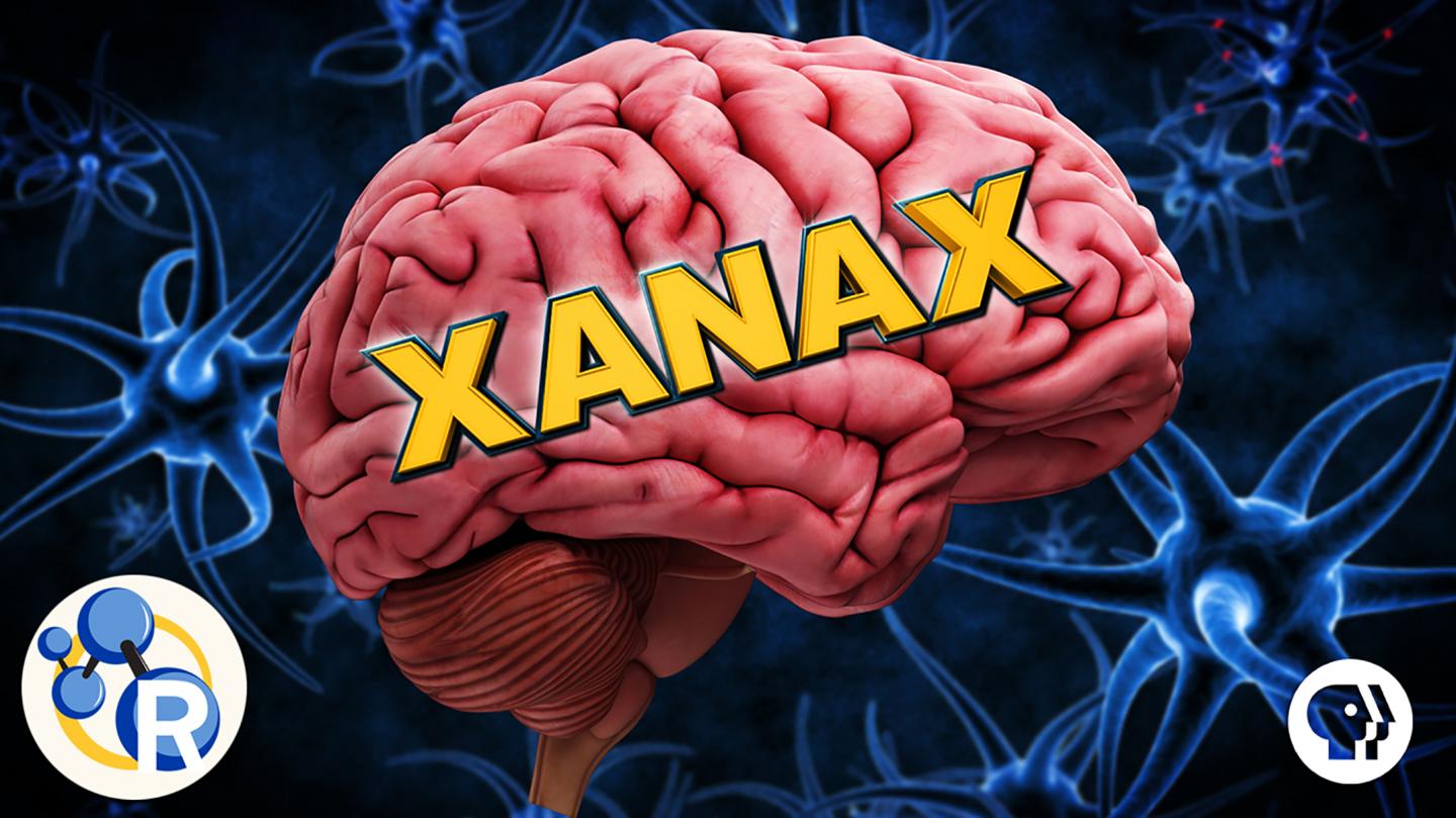 Xandx Videos - How Xanax works (video) | EurekAlert!