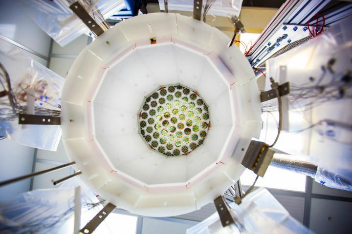 Inside LUX Detector