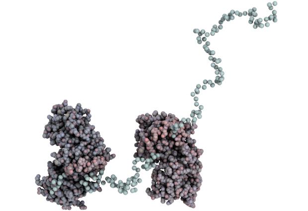 How <i>Toxoplasma</i> Rewires Our Inflammatory Response