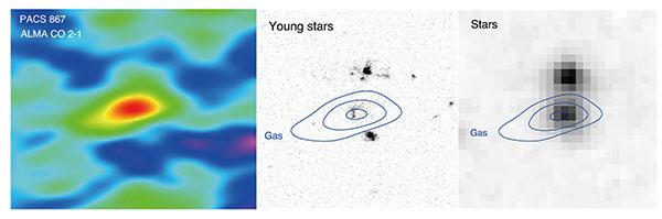 Gas in Galaxies