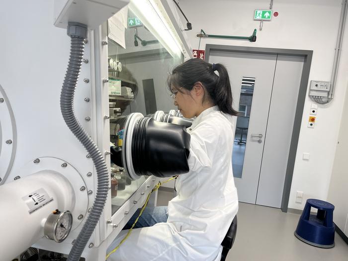 Yunru Chen sets up incubations in the laboratory to further investigate the interactions between iron minerals, organic matter and microorganisms in marine deposits.