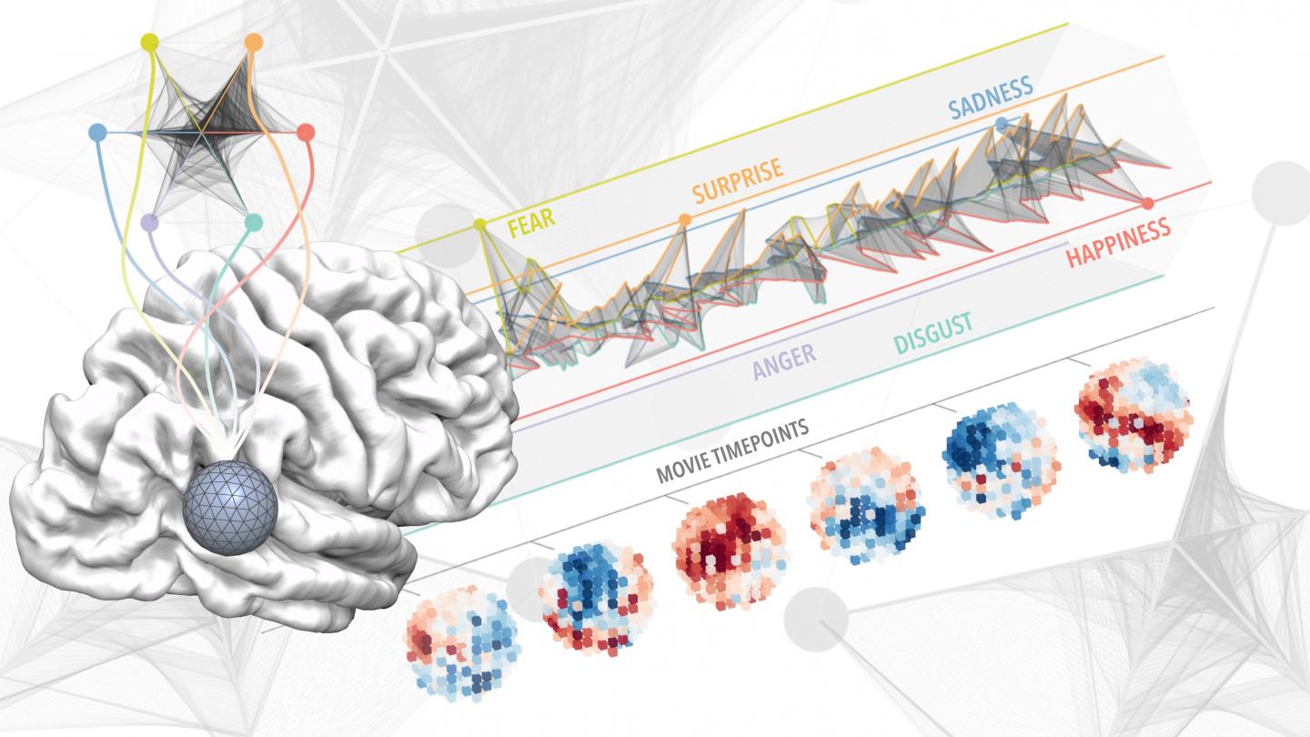 Emotions in the Brain