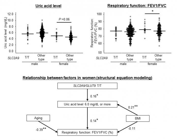Epidemiological Analysis of Uric Acid Levels Vs Respiratory Function in People 50 Years and Older