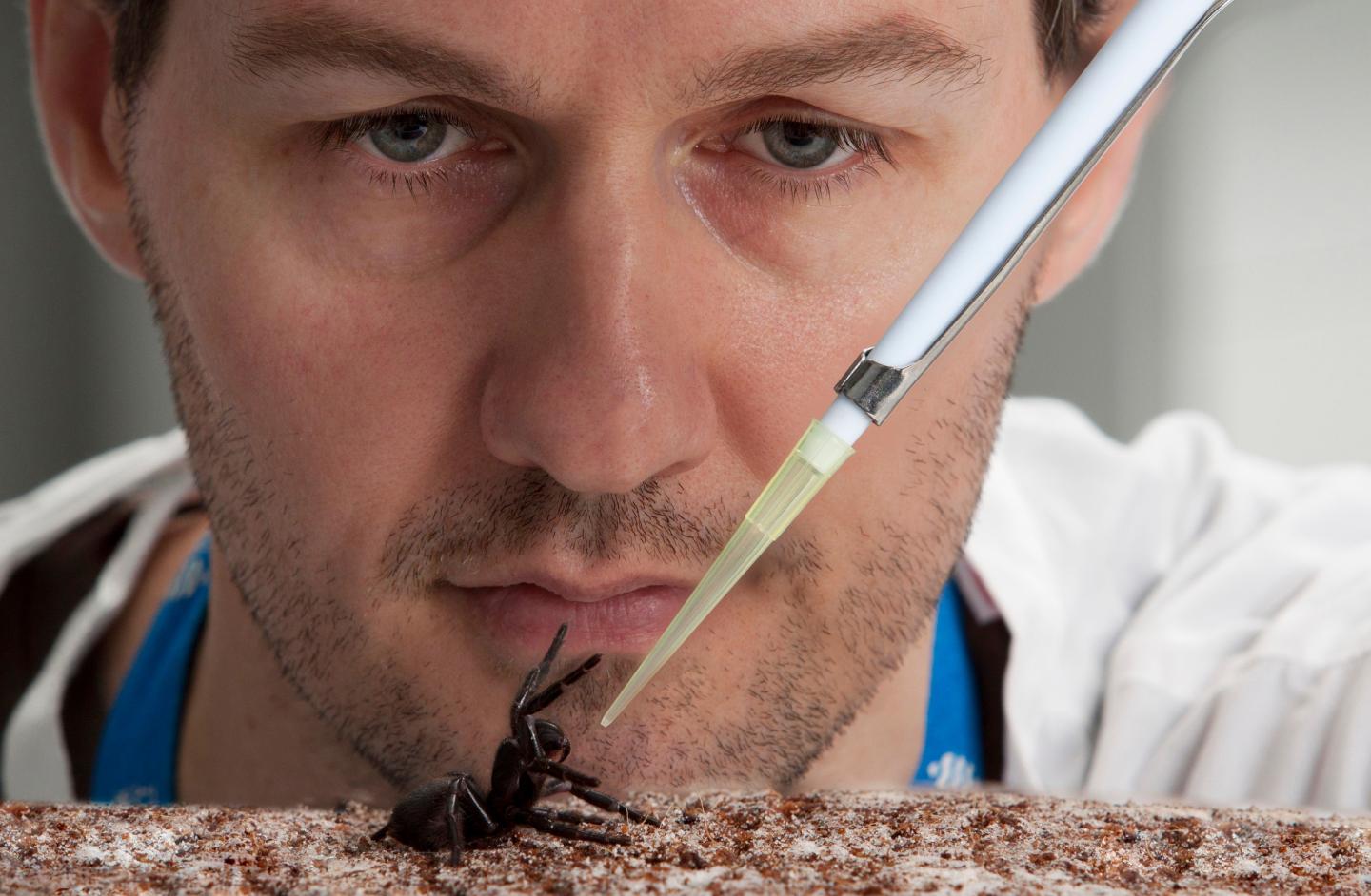 Dr David Wilson + Spider