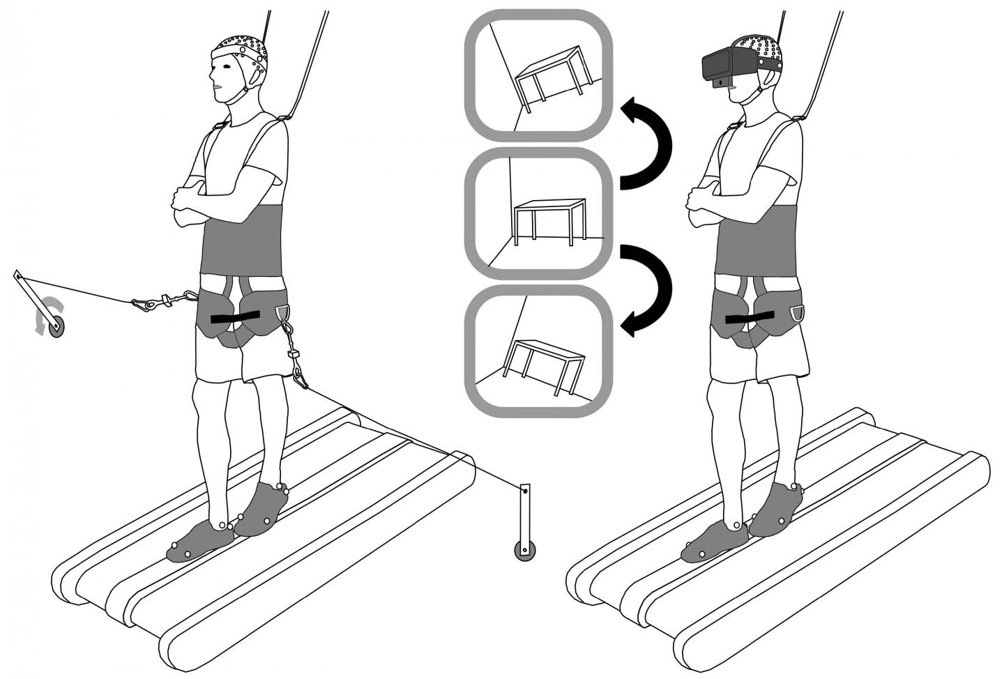 Neural Signature of Balance