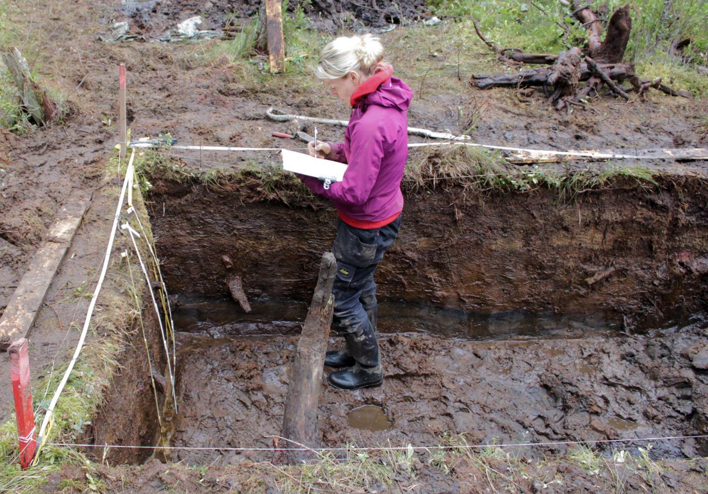 Wetland Archaeological Excavations in Operation in Finland