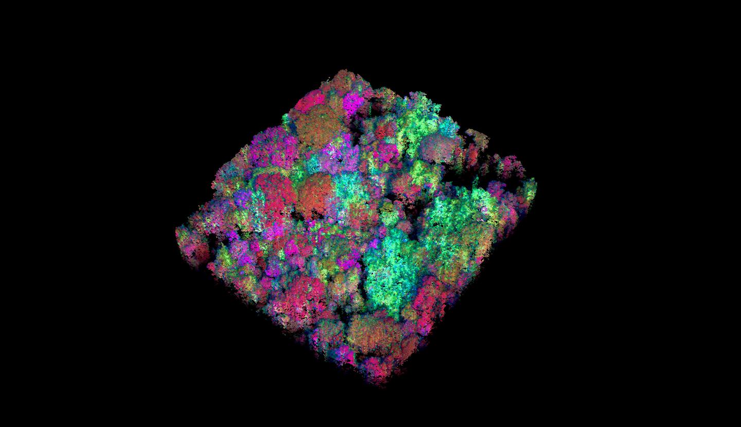 Satellites Help Map Biodiversity, and Conservation Hotspots, of the Amazon