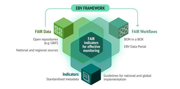 Potential implementation of the FAIR data-workflows-indicators approach.