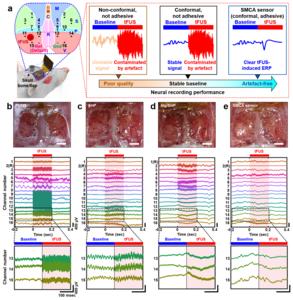 Figure 3. SMCA sensor allows for artefact-free neural recording