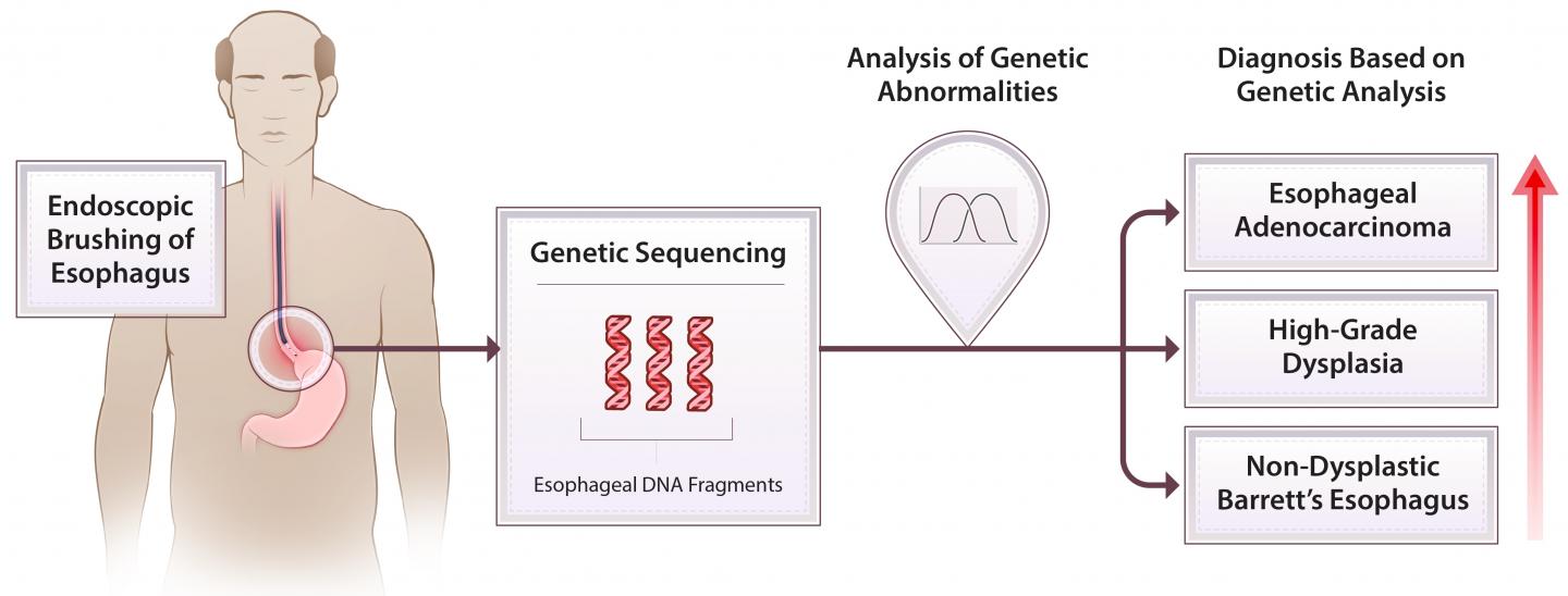 Gene Sequencing and Esophageal Brushing