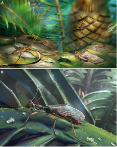 Ecological reconstruction of Alienopteridae