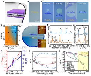 In situ control of MoTe2 polymorphs during wafer-scale synthesis.