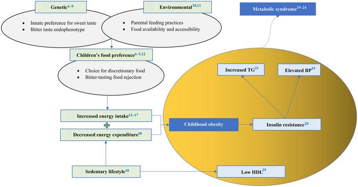 Aetiology of childhood obesity and metabolic syndrome