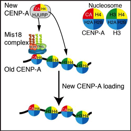 Summary of this Work
