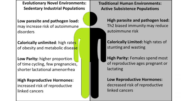 Environmental Differences between Humans Living in Active, Subsistence Populations Versus Sedentary
