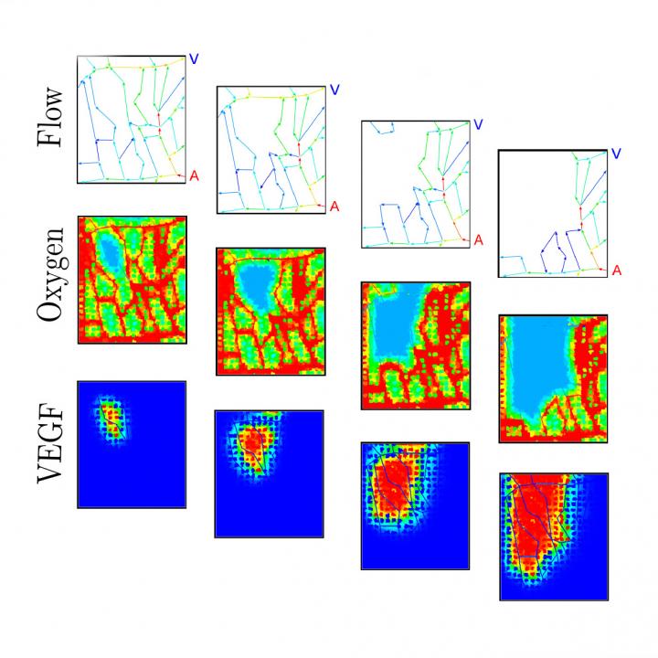 Eye Disease Modeling