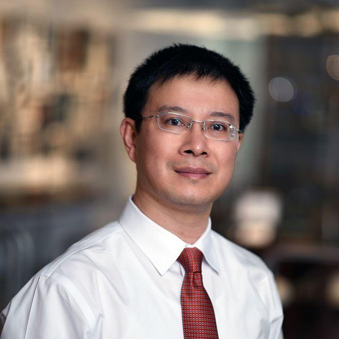 The Corresponding Author of this Work