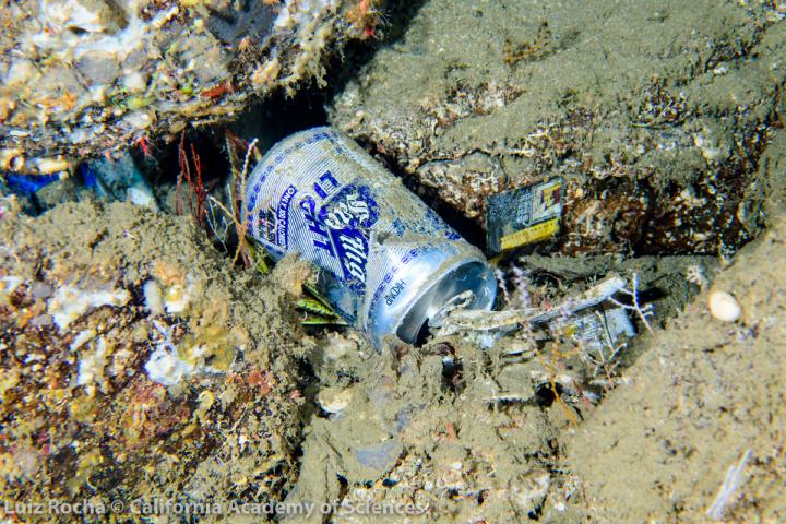 Pollution Found at Depth in the Philippines