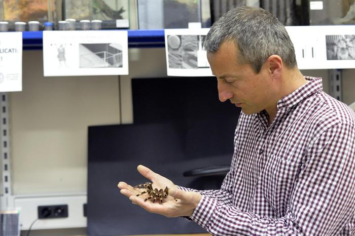 Nicola Pugno with a spider in his hands