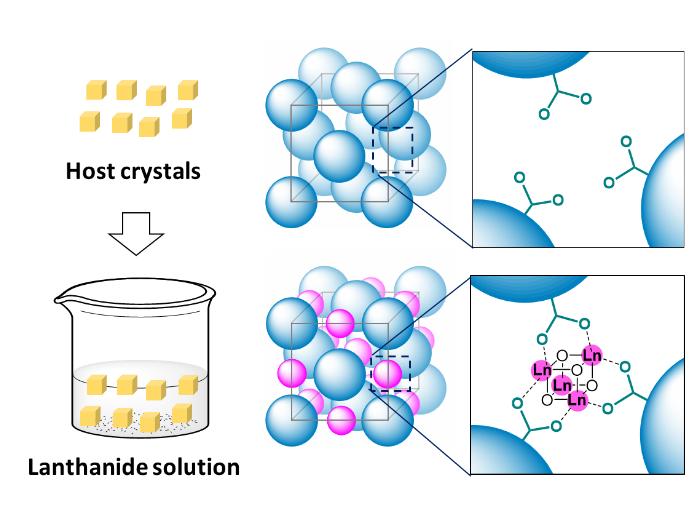 Schematic Illustration