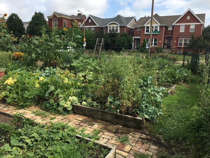 Scaling up urban agriculture