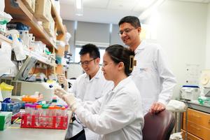 Duke-NUS PhD candidate Ms Lee Wen Xing and Dr Goh Kah Yong in the laboratory