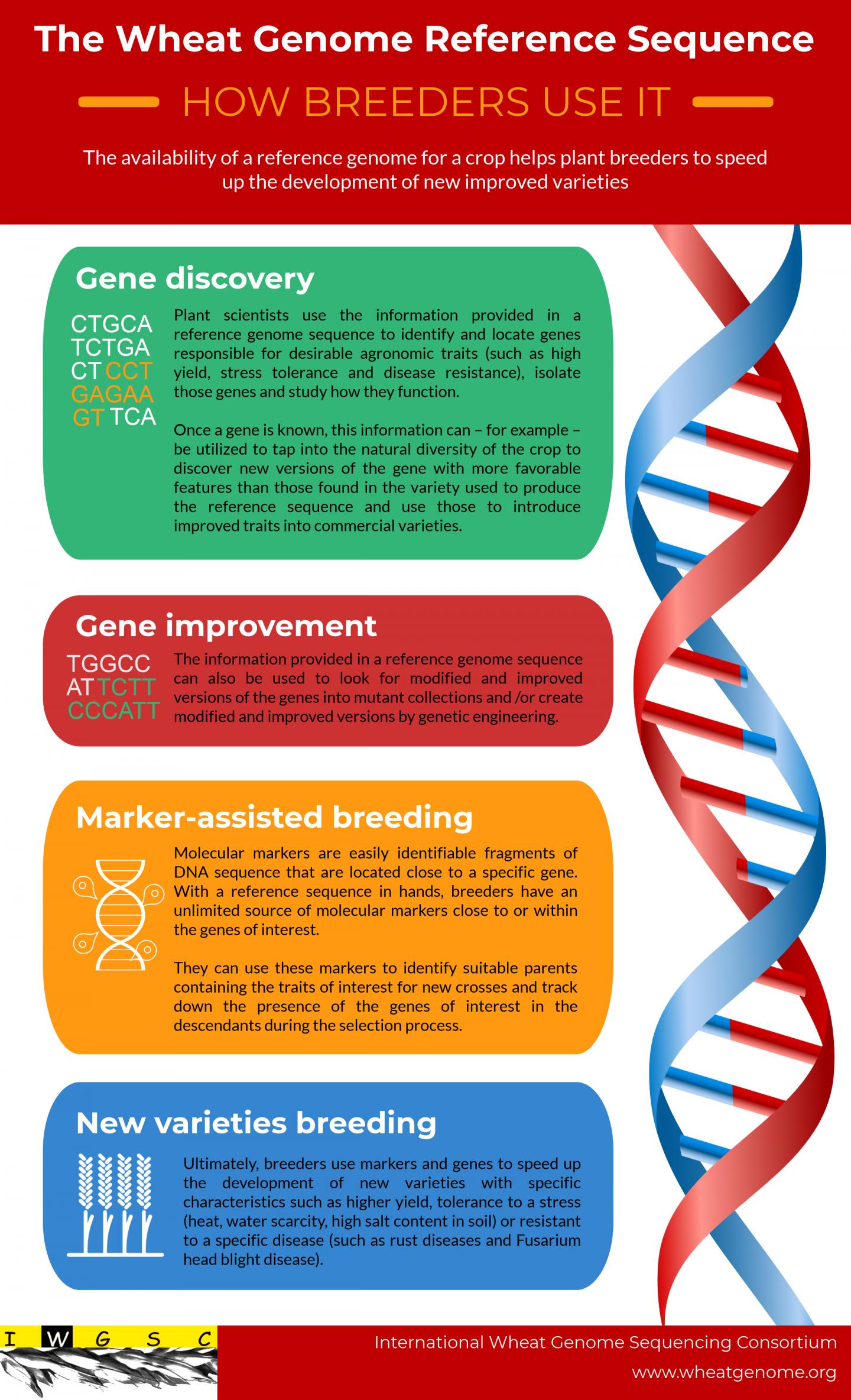 Presenting the First Fully Annotated Reference Genome of Bread Wheat (6 of 11)