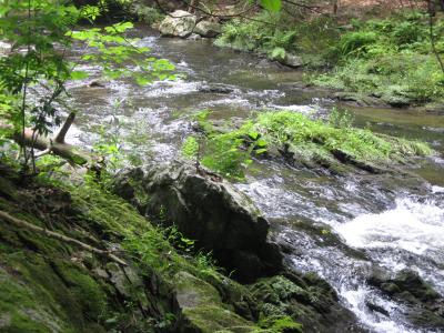 Wappinger Creek in Spring