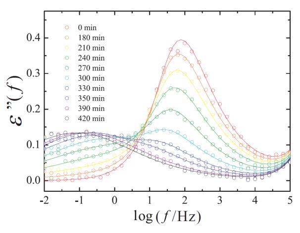 Time Evolution Of Dielectric Loss Spectra