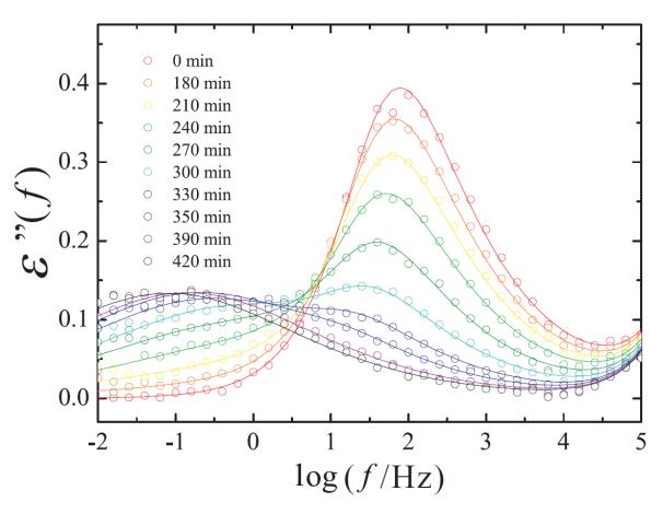 誘電緩和スペクトルの虚部の時間変化