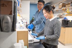 Hong Han, Xiaotian Ma, and Wei Gao Work With Microrobots in the Lab at Caltech