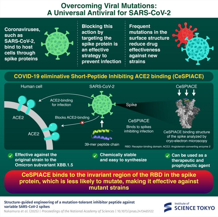 Overcoming Viral Mutations: A Universal Antiviral for SARS-CoV-2